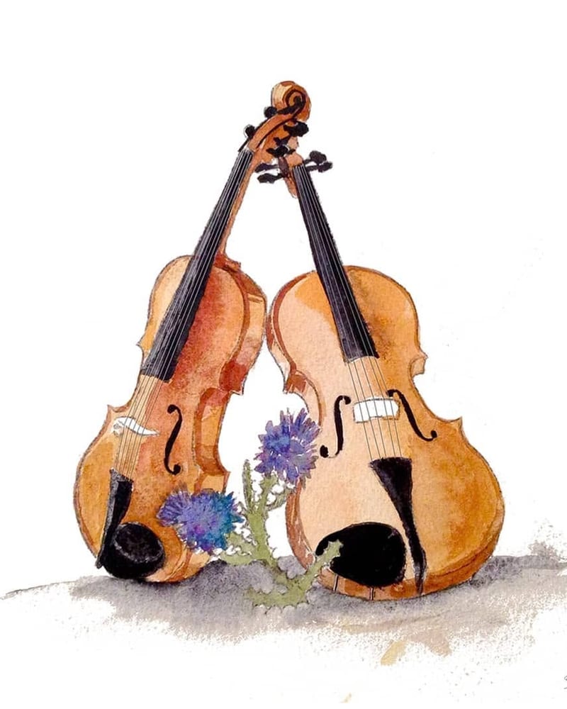 Violins & Thistle