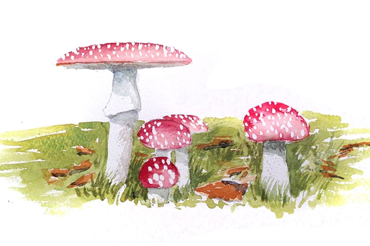 Red Mushrooms